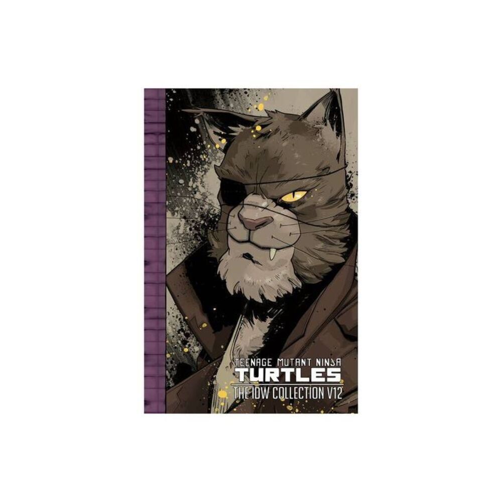 No Brand - Teenage Mutant Ninja Turtles: The IDW Collection V Gray